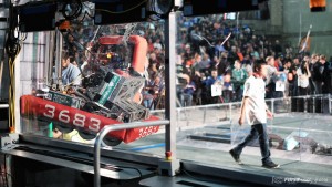 12973387_1151194184945633_7227478861532646719_o